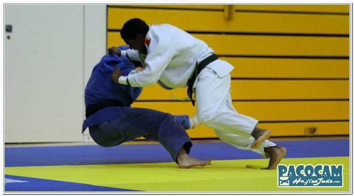 FFS20 10 PC2033